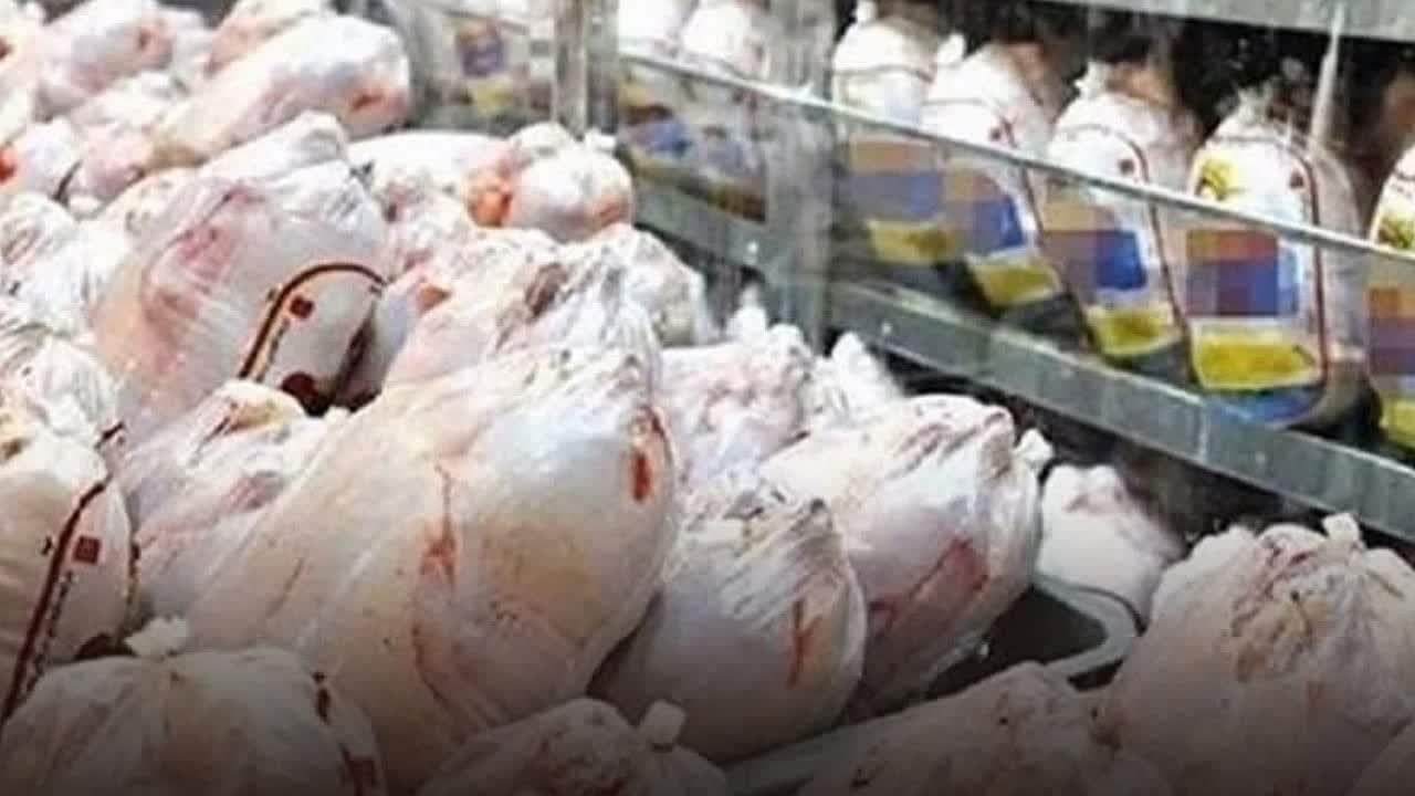  توزیع ۹۰ تن مرغ منجمد وارداتی تنظیم بازار در استان قزوین