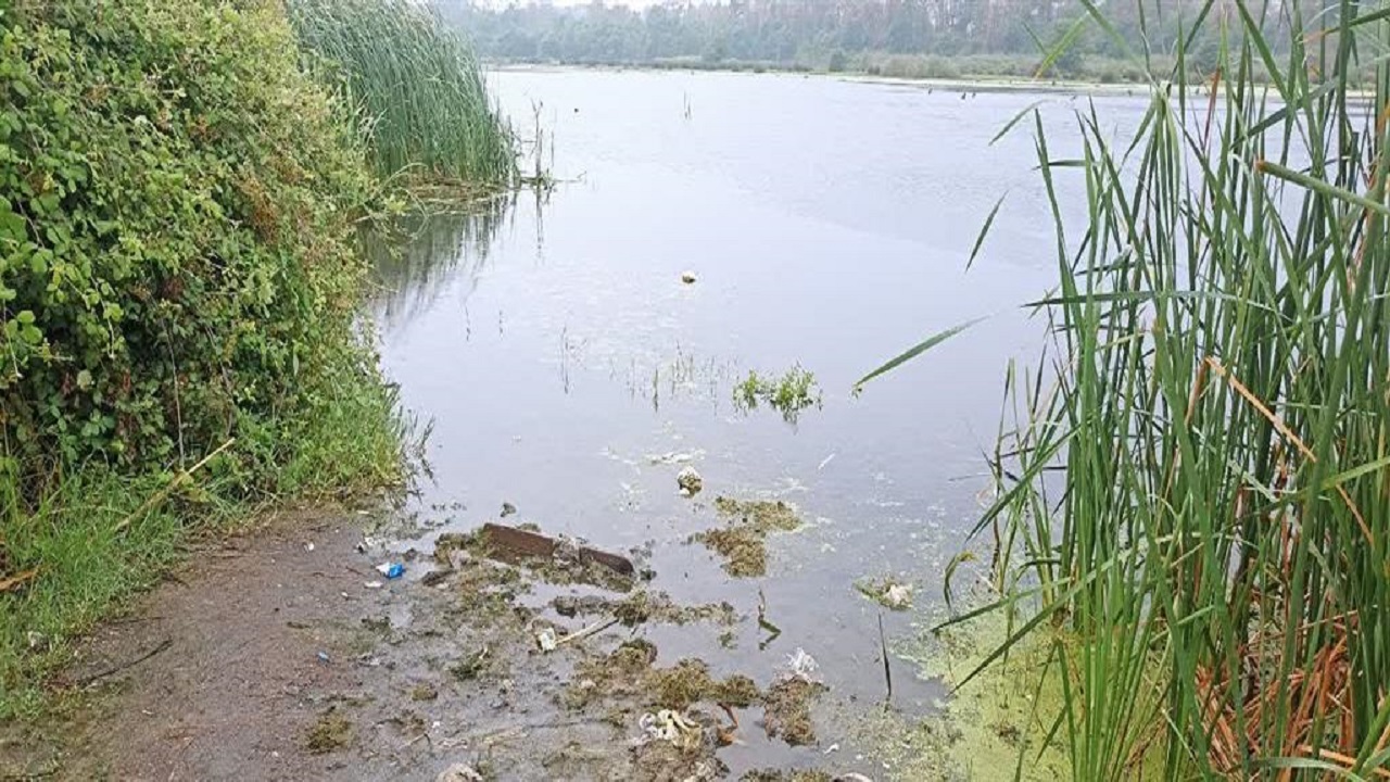 برگزاری نمایشگاه عکس طبیعت در تالش