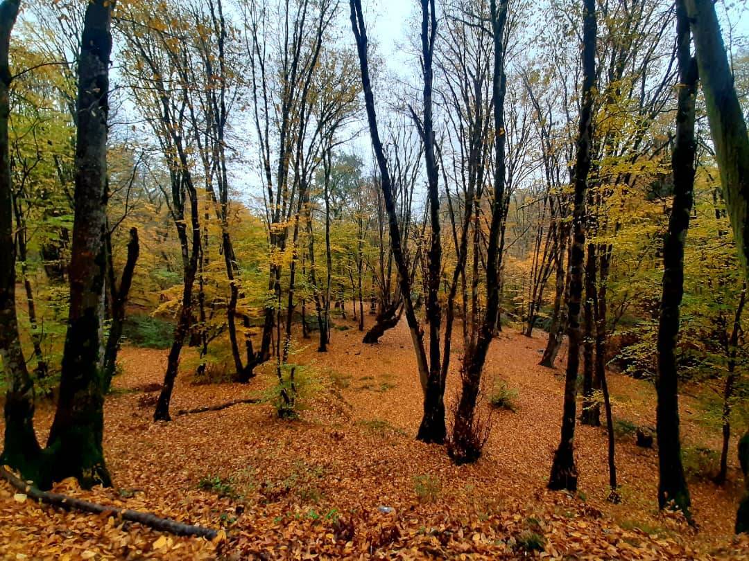 جاذبه گردشگری گرگان