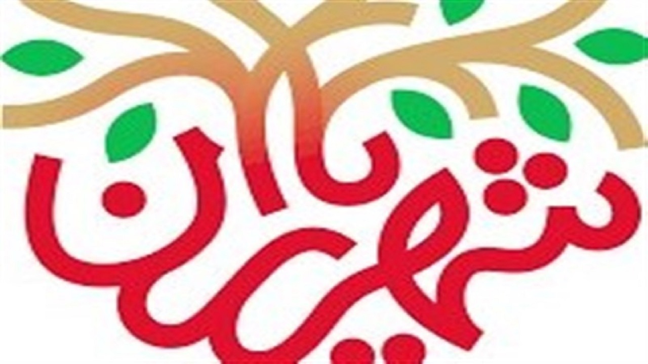 سربیشه رتبه برتر ثبت ایده و اقدام طرح ملی شهریاران را کسب کرد