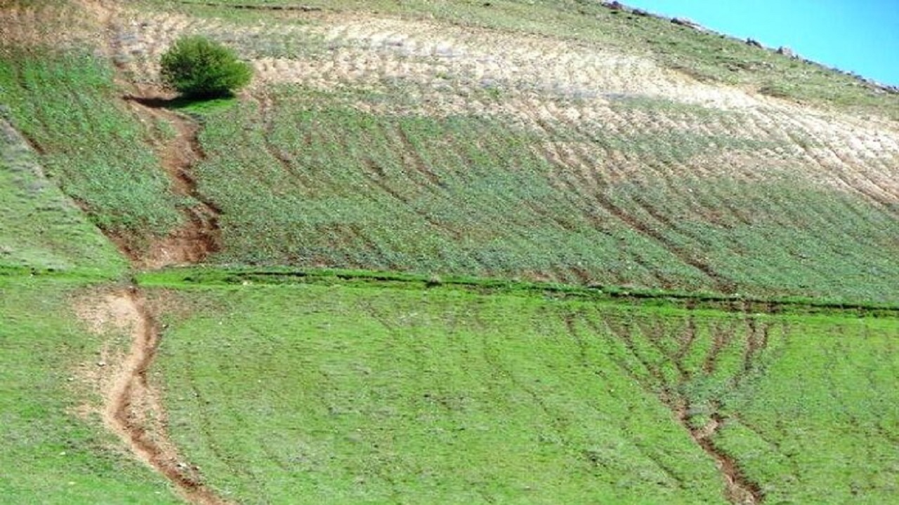 کاهش سیل‌خیزی، دستاورد تغییر کاربری زمین‌های شیب‌دار  در گلستان