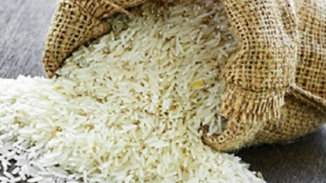 تولید برنج به ۲ میلیون و ۲۵۰ هزار تن رسید