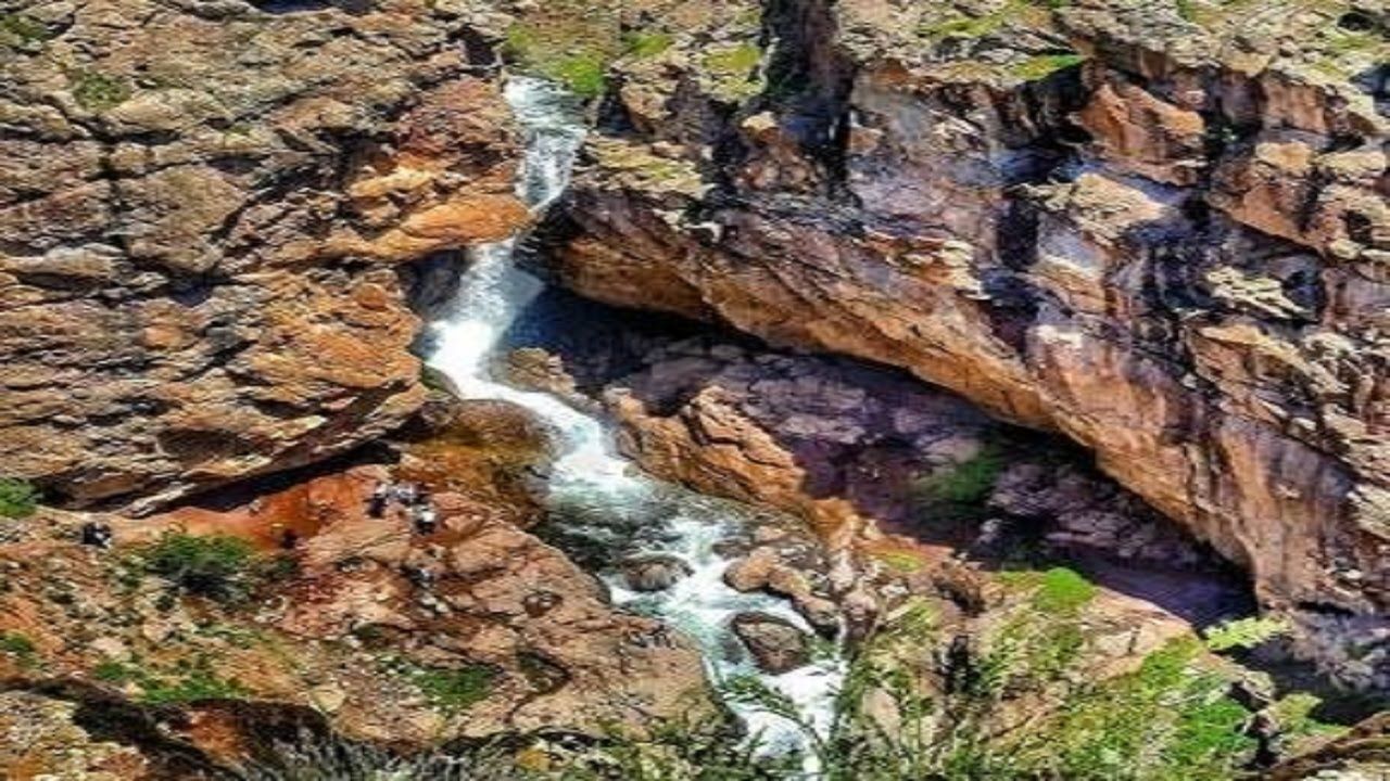 کرکبود و زیبایی برفی که آب می شود