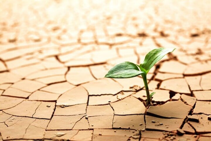 ۴۲۵ هزار هکتار بیابان در استان ایلام وجود دارد