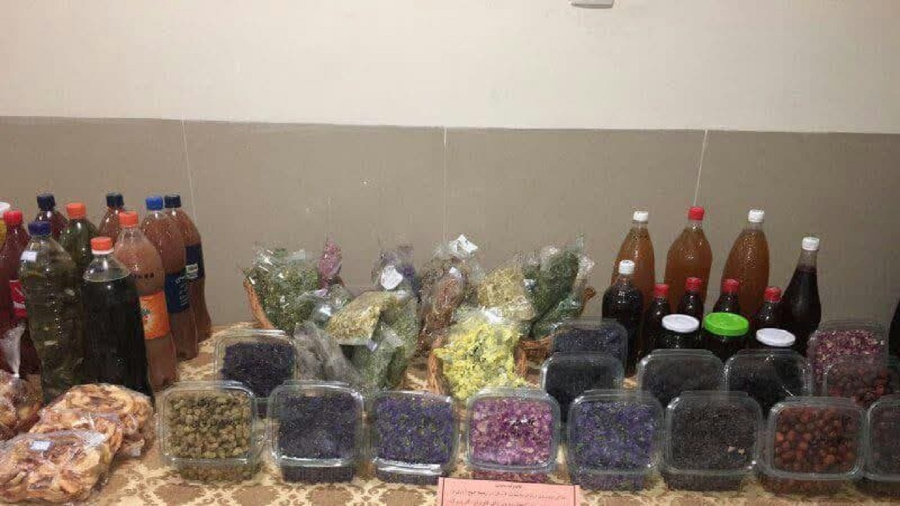 پرداخت ۸ میلیارد ریال تسهیلات مشاغل خانگی به بهره برداران شهرستان البرز