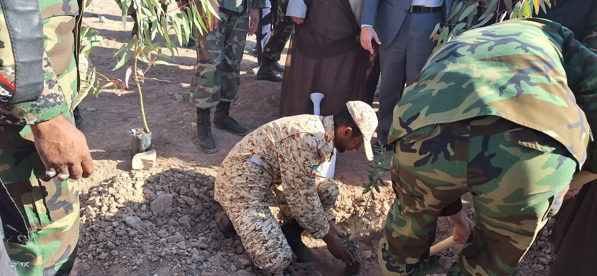 کاشت ۲۰۰۰ اصله درخت در مرکز آموزشی ۰۵ کرمان