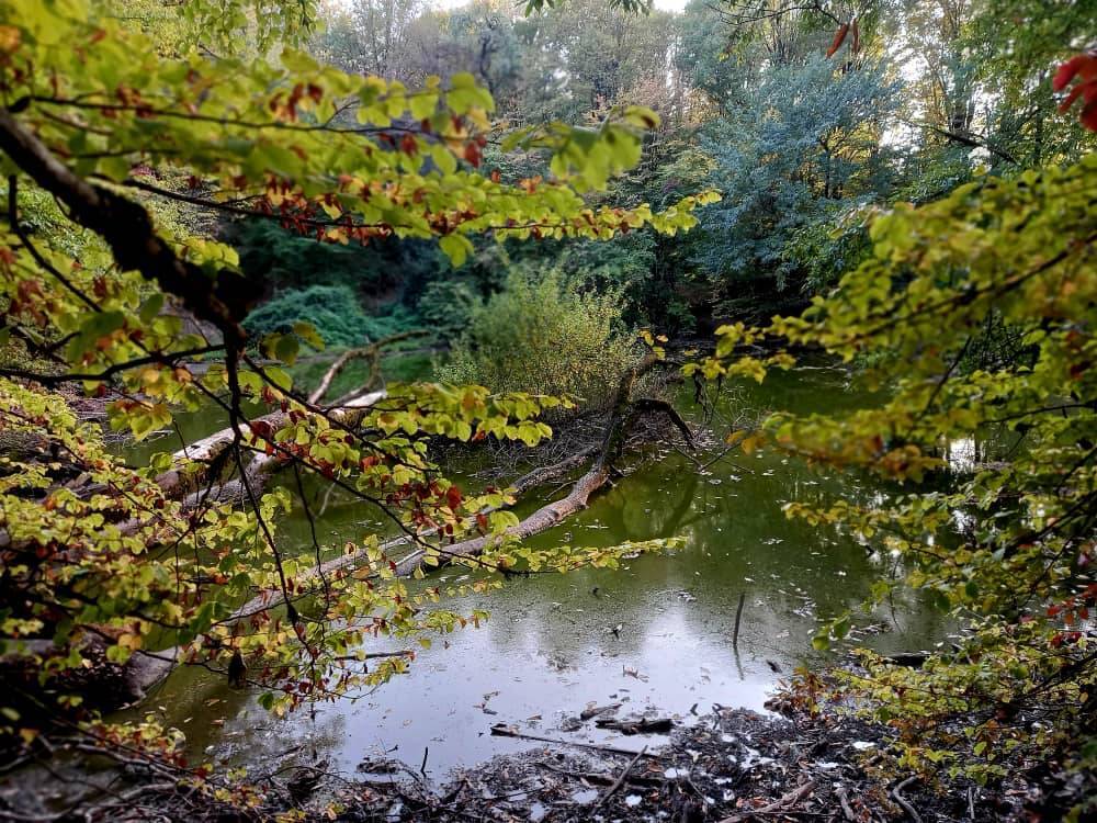 جاذبه های طبیعی