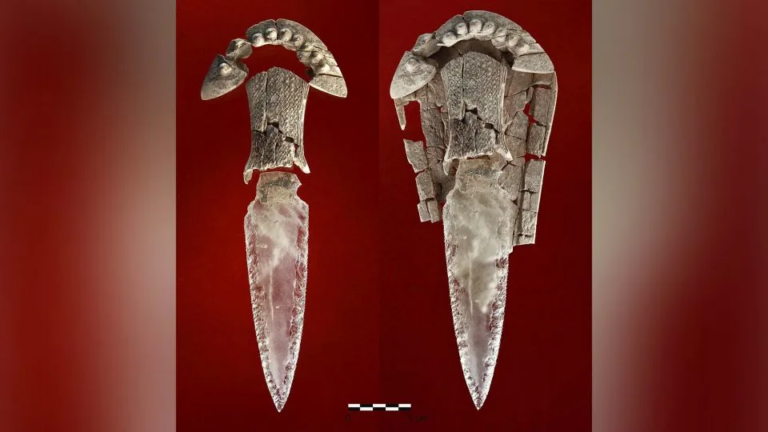 استخوان لگن