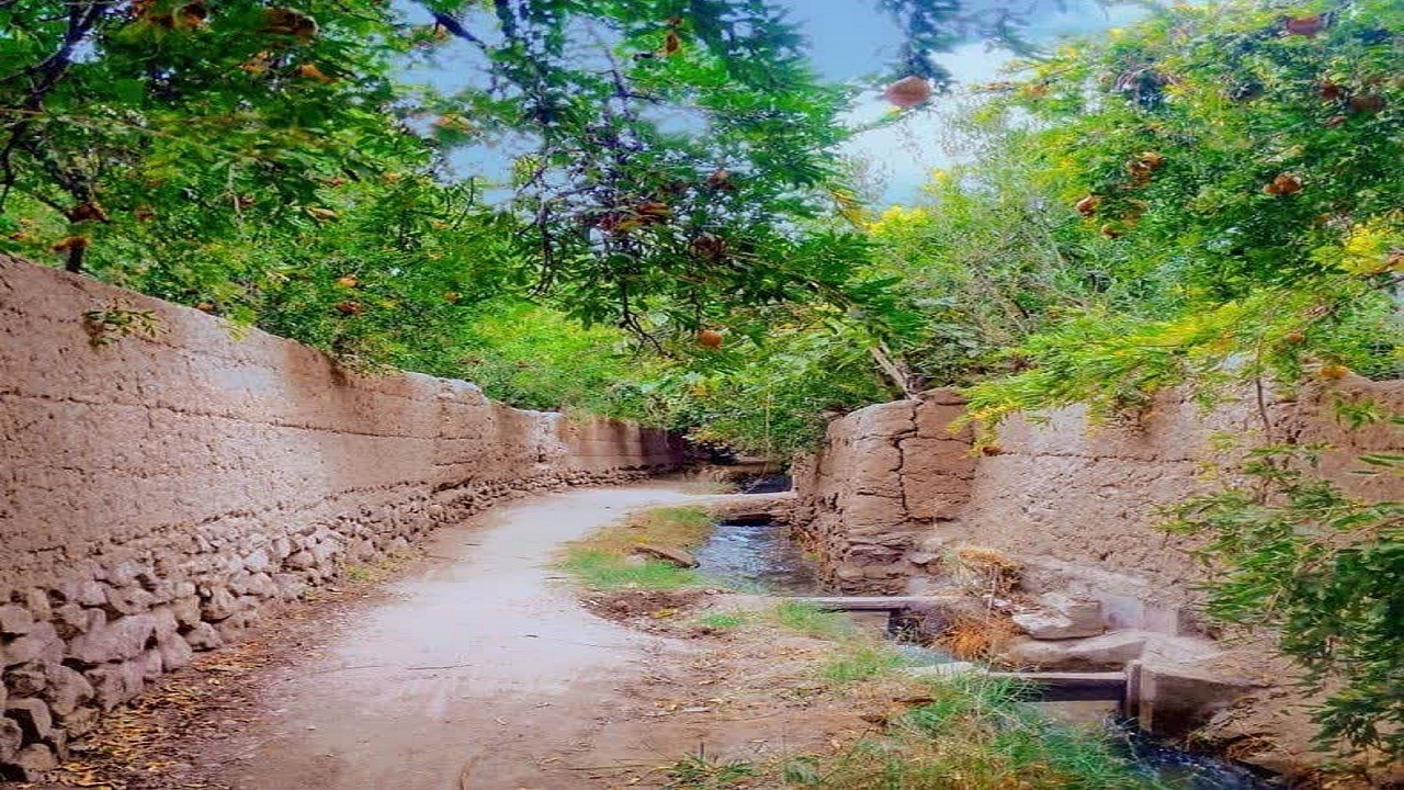 باغداران می‌توانند در صورت تمایل باغ‌های خود را به مالکیت شهرداری دربیاورند