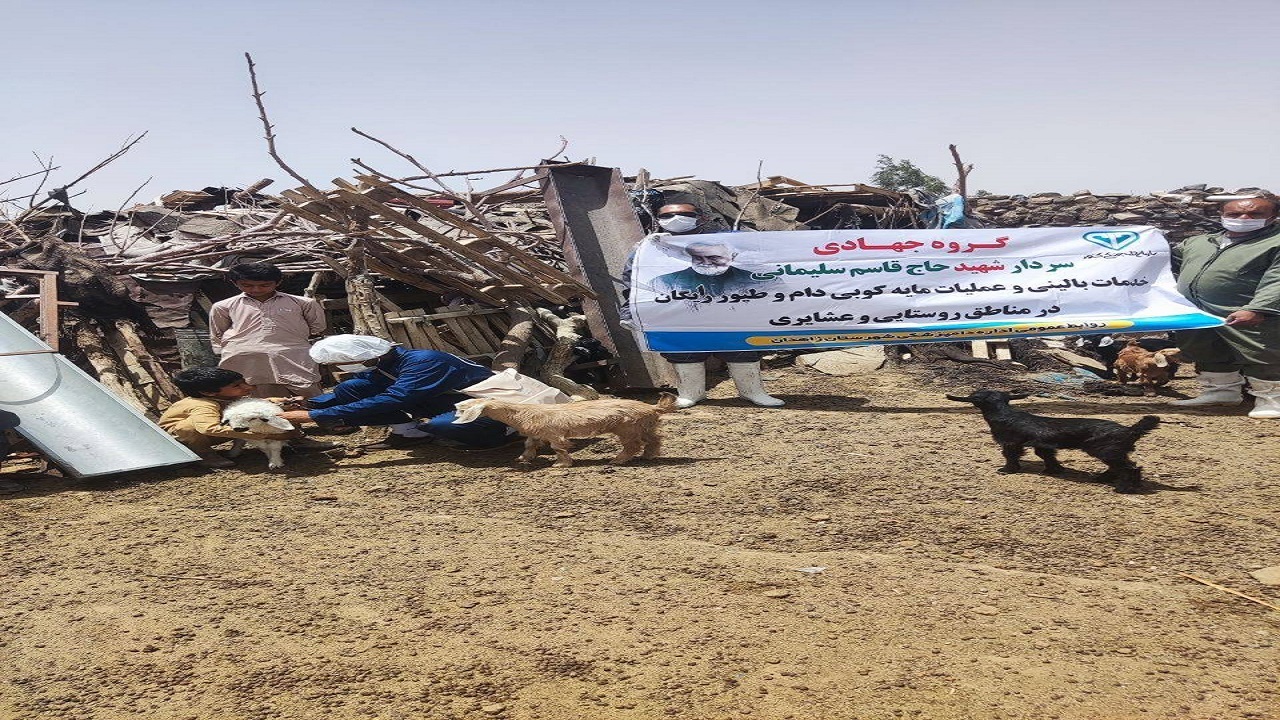 واکسیناسیون ۵۴۰ هزار نوبت سر دام در ۹ ماهه امسال در شهرستان زاهدان