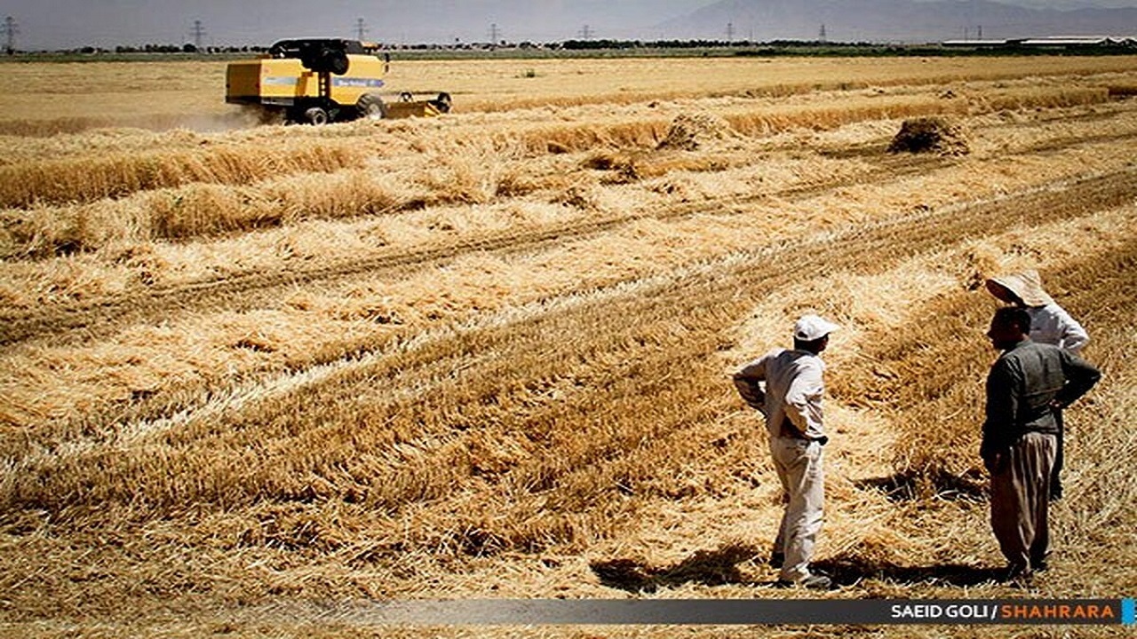 واریز ۵۷۸ میلیارد ریال غرامت به خسارت‌دیدگان کشاورزی خراسان‌رضوی