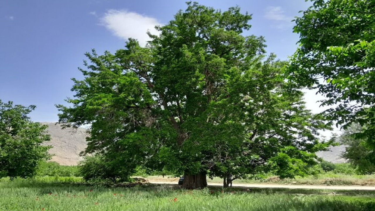 ثبت ملی ۲ اثر طبیعی استان همدان
