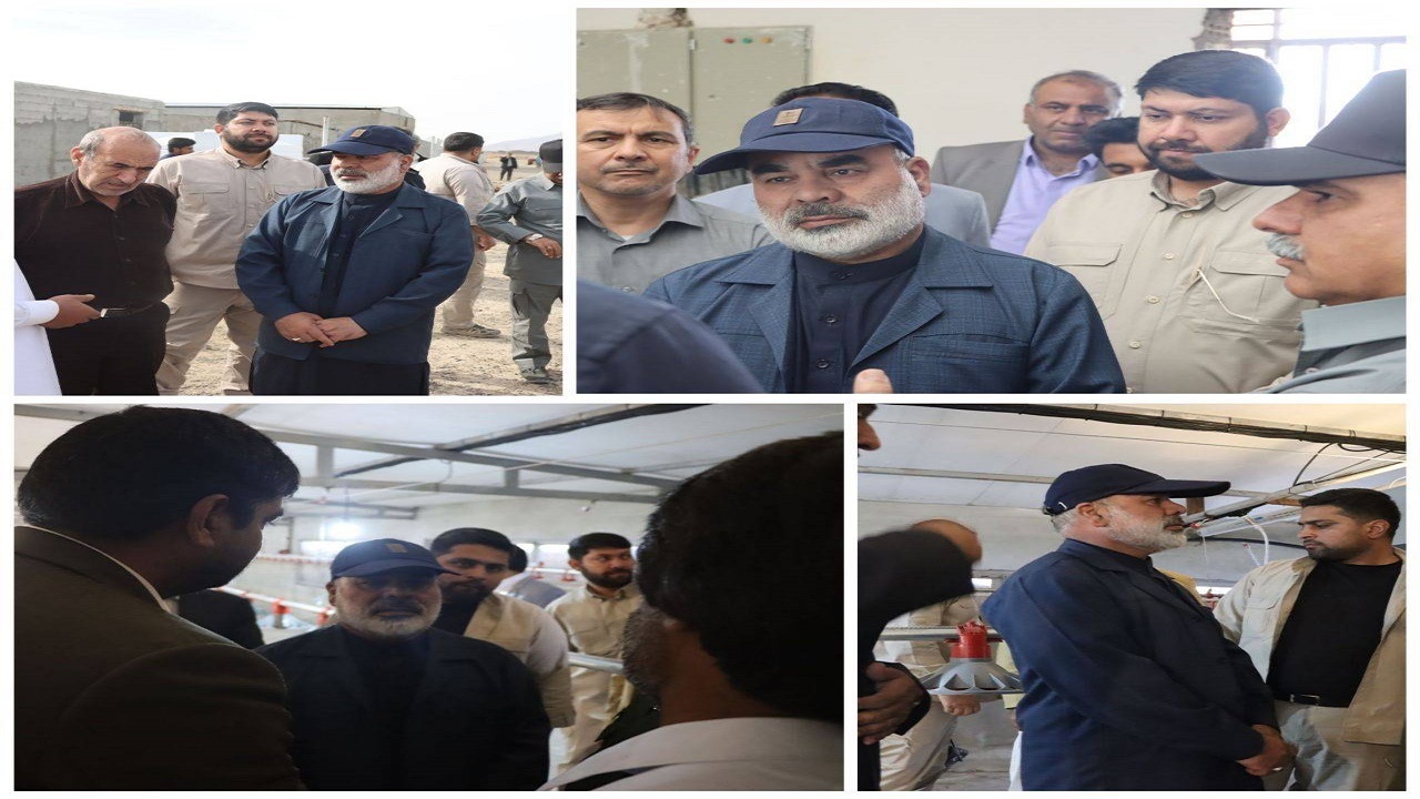 بازدید استاندار از مرغداری ۲۰ هزار قطعه‌ای شهرستان سیب و سوران