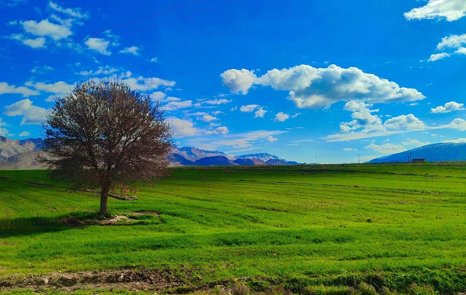 منظره سرسبز و زیبای گیلانغرب