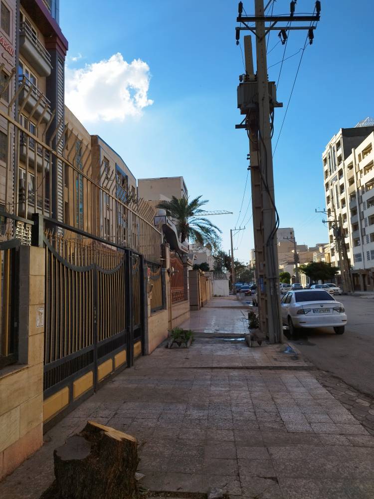 قطع درختان شهری