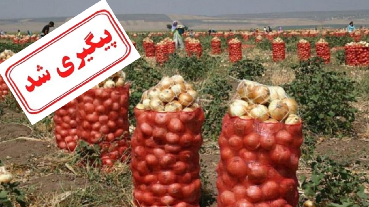 فروش نرفتن پیاز و سیب زمینی به دلیل صدور قوانین متعدد و مشکلات بازگشت ارز