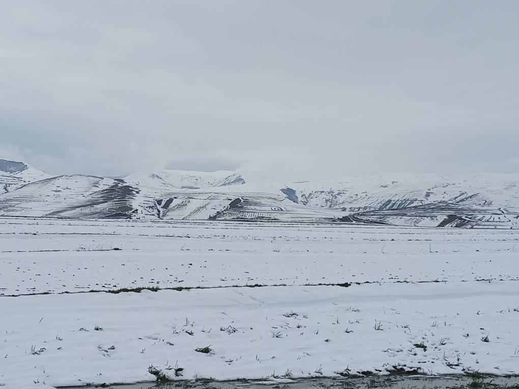 بخش موران اردبیل با بارش برف سفید پوش شد