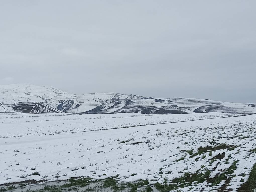 بارش برف در موران اردبیل