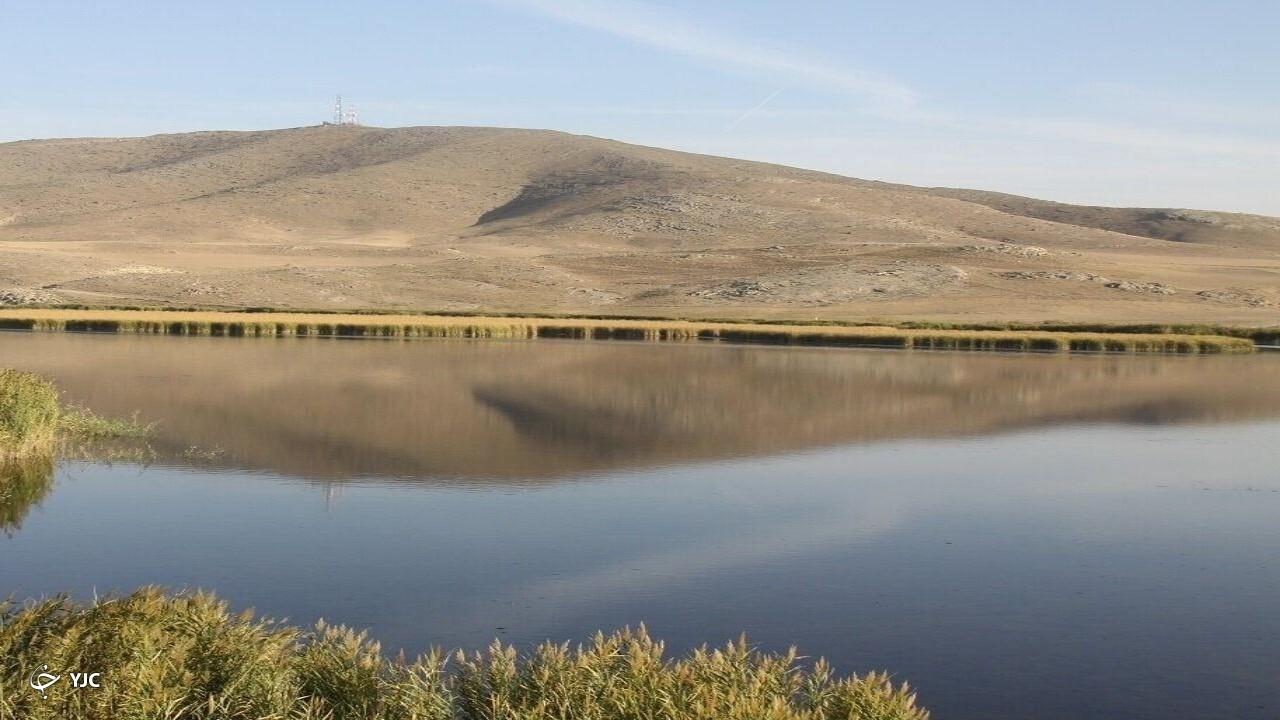 ارزش اکوسیستم‌های تالابی ۱۰ برابر مناطق جنگلی است