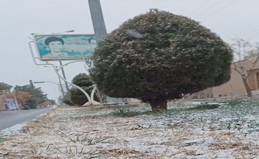 بارش برف در خراسان جنوبی