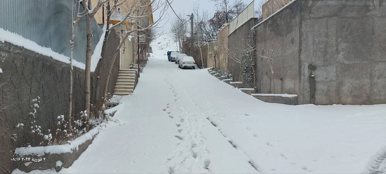 بارش برف