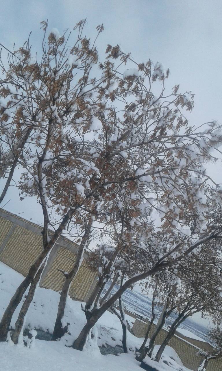 بارش برف در روستای حاجی آباد بارش برف در روستای حاجی آباد
