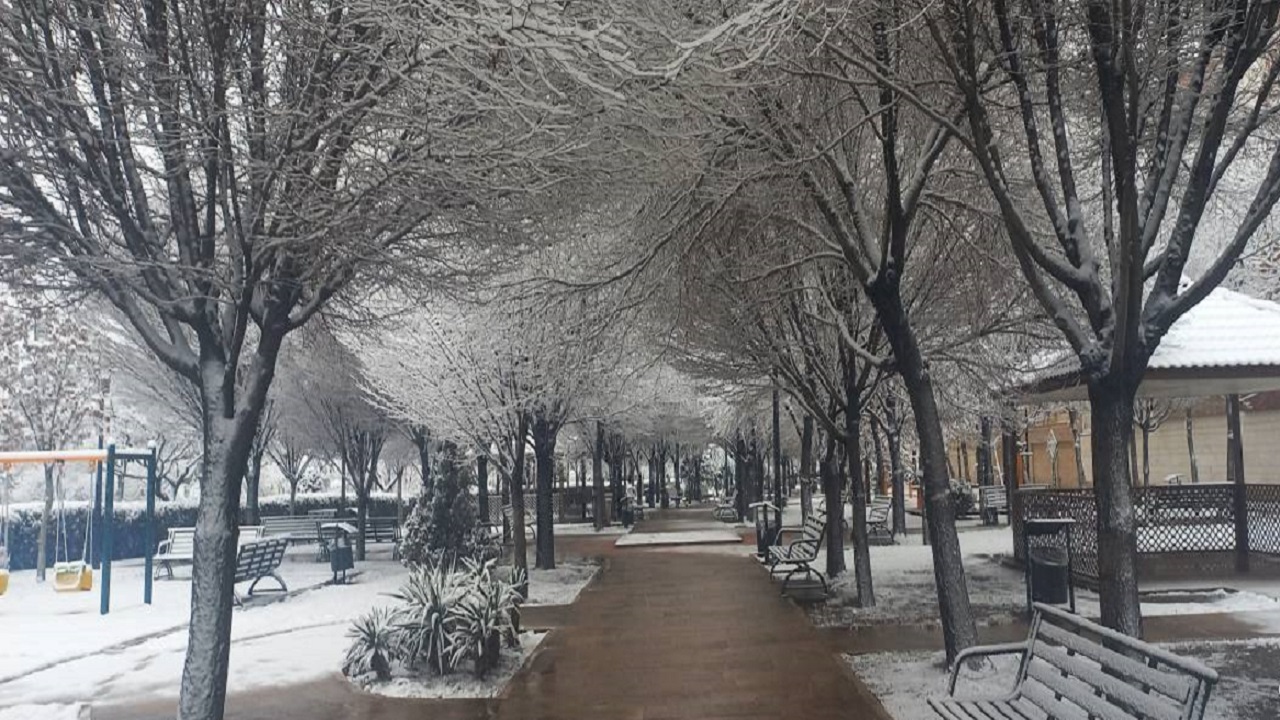 طبیعت زمستانی بوستان
