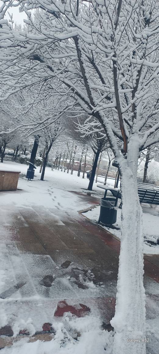 طبیعت زمستانی