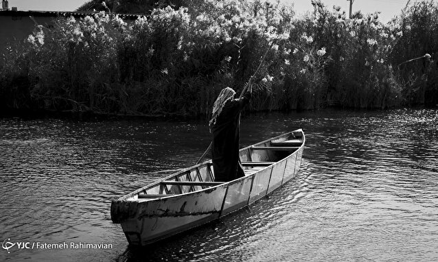 تالاب شادگان/ صید ماهی با برق