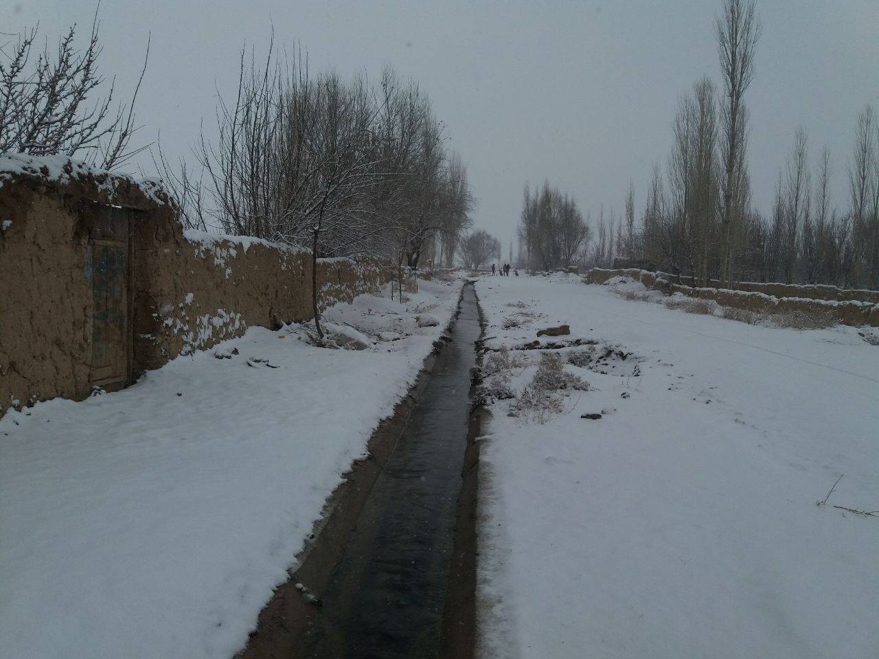 آب و هوای برفی روستای نردین