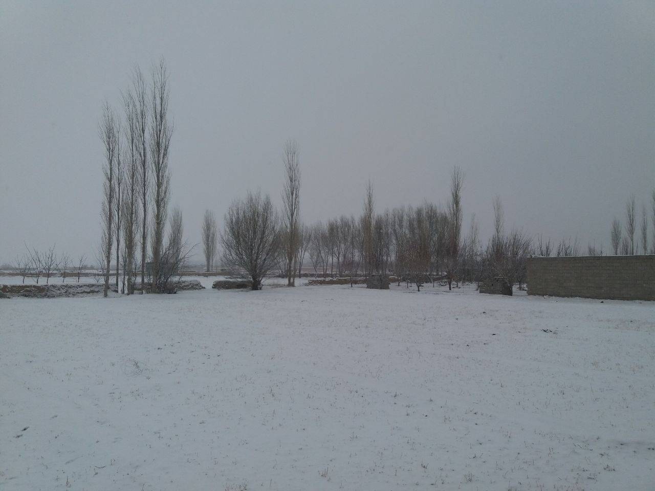 بارش برف در روستای نردین