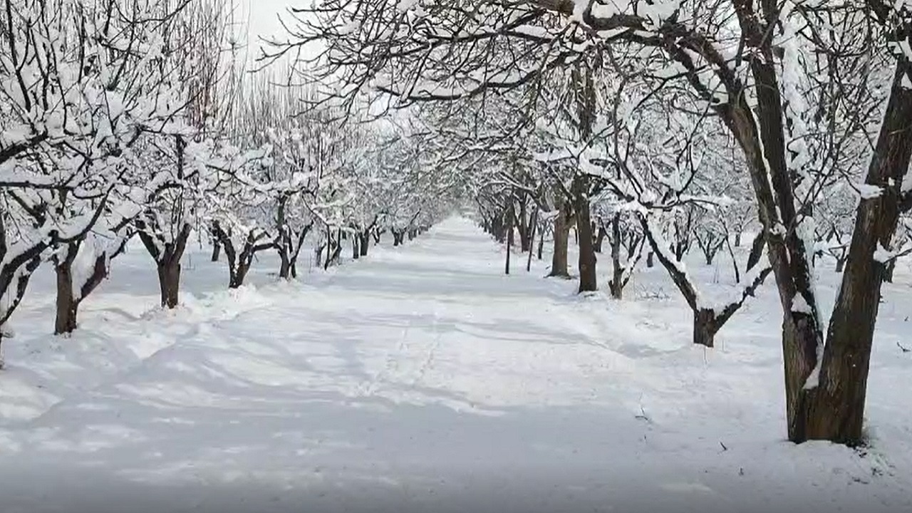 نمایی از طبیعت برفی روستای تکه نهاوند