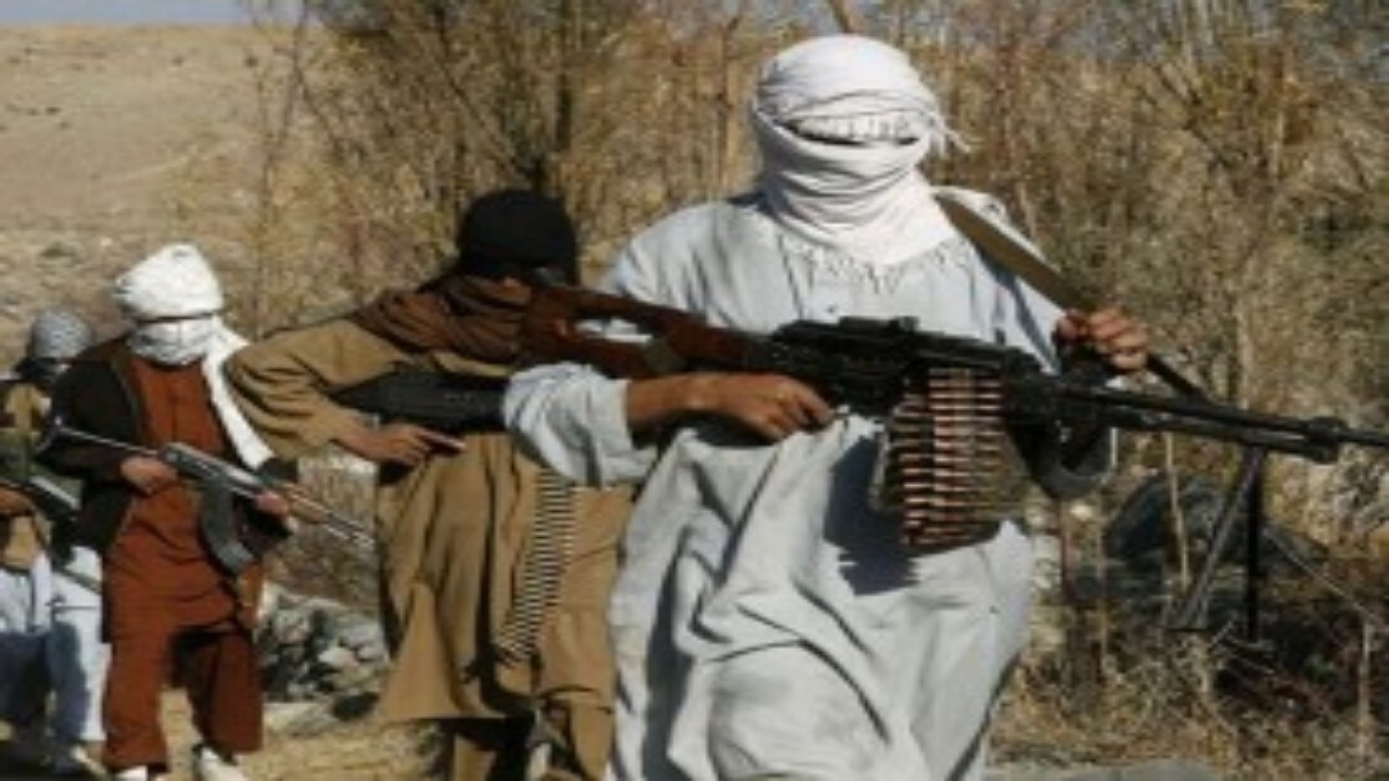 اجازه فعالیت هراس‌افگنانه از خاک افغانستان نمی‌دهیم