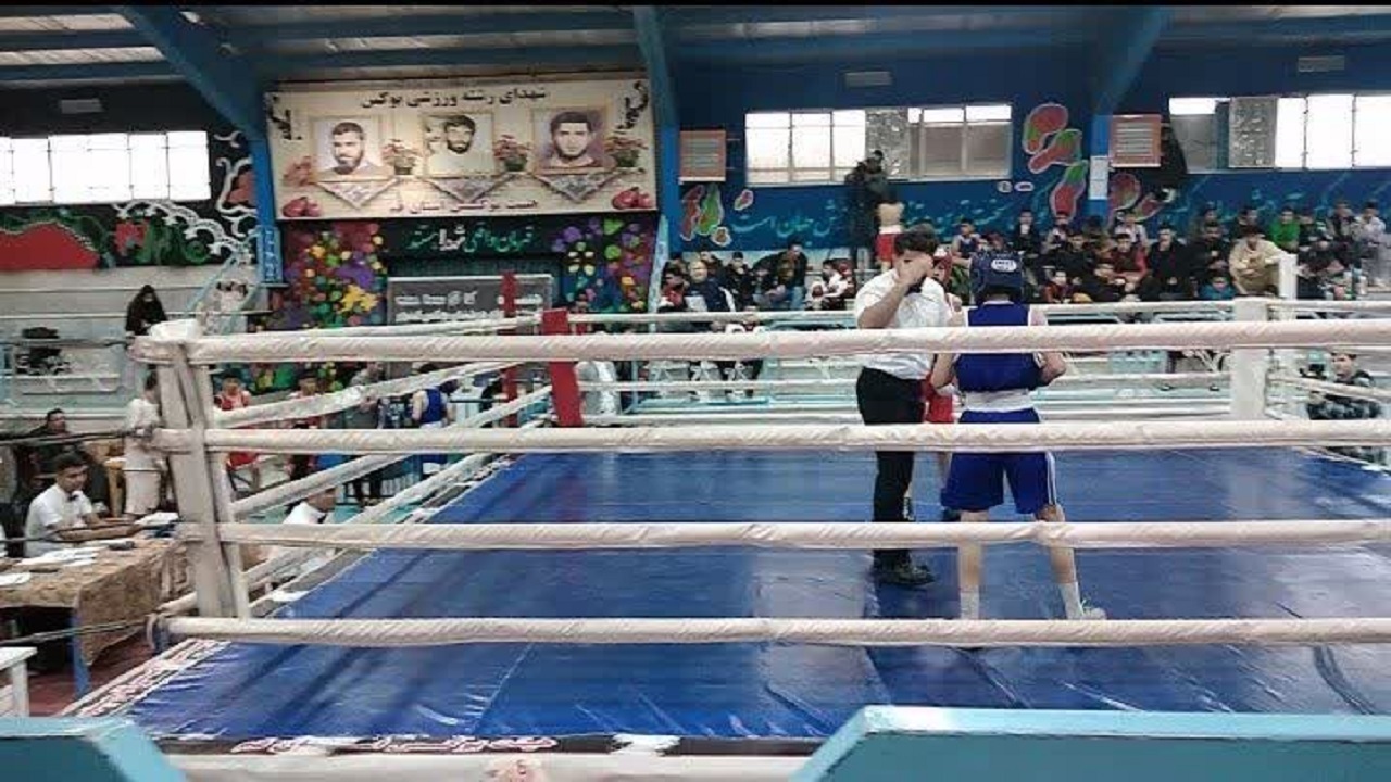 معرفی برترین‌های مسابقات بوکس نونهالان قم