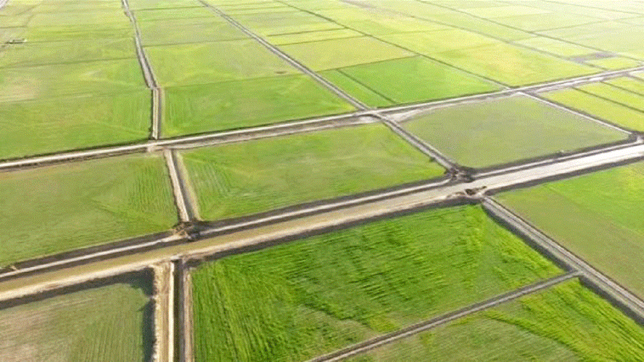 افزایش ۵۳ درصدی شاخص‌های کشاورزی مازندران