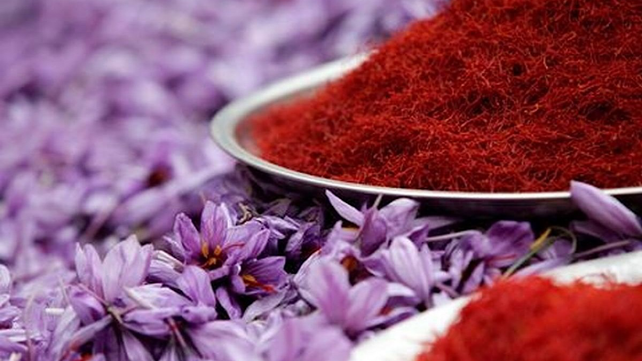 ۸۰ درصد زعفران تولیدی صادر می‌شود
