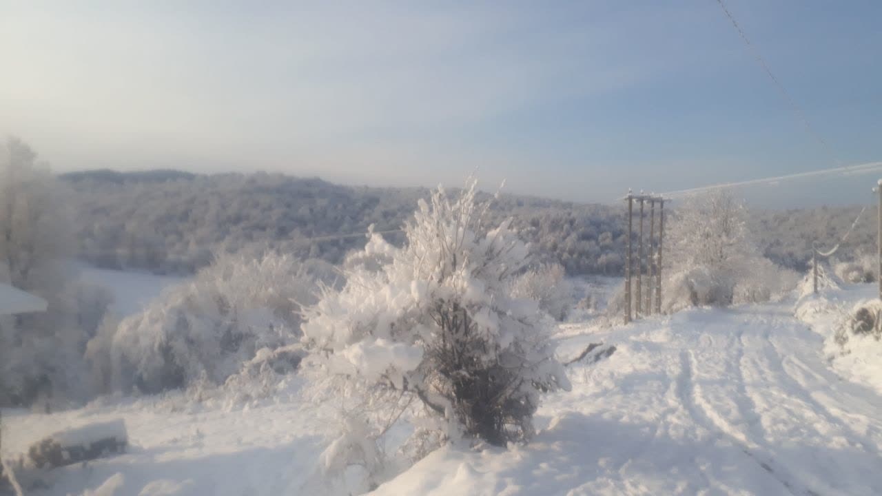 بارش برف در روستای شیرداری