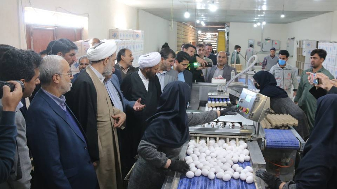 طرح توسعه مرغداری تخم‌گذار در رفسنجان به بهره‌برداری رسید