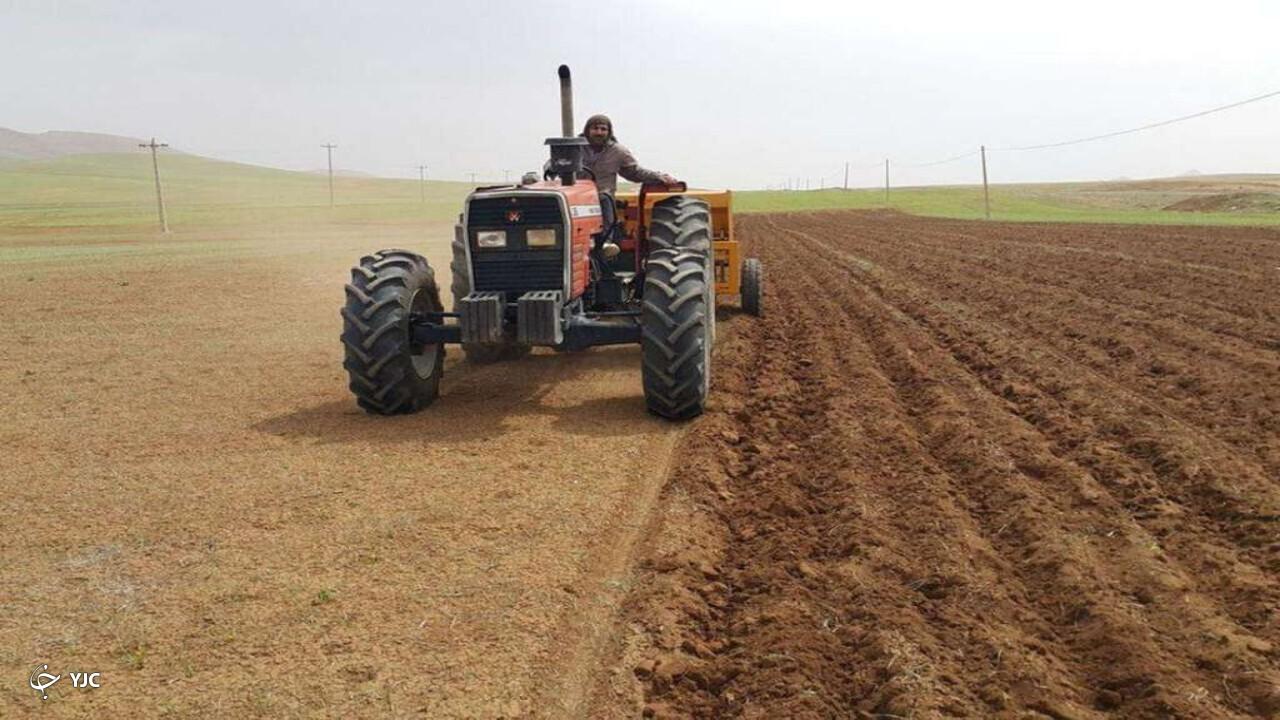 کشت علوفه کم آب‌بر در آذربایجان‌غربی افزایش ۵۰ درصدی دارد