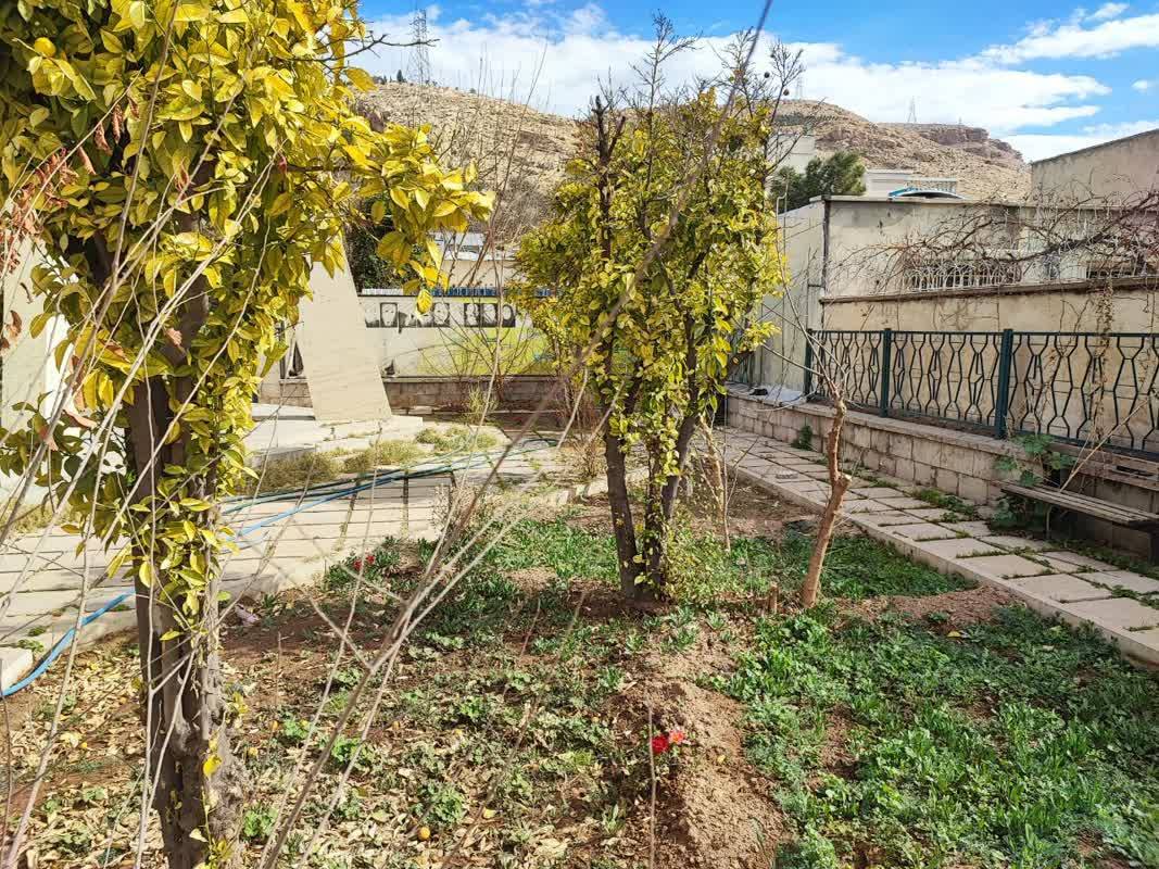 رشد گیاه و علف در مقبره شاه شجاع