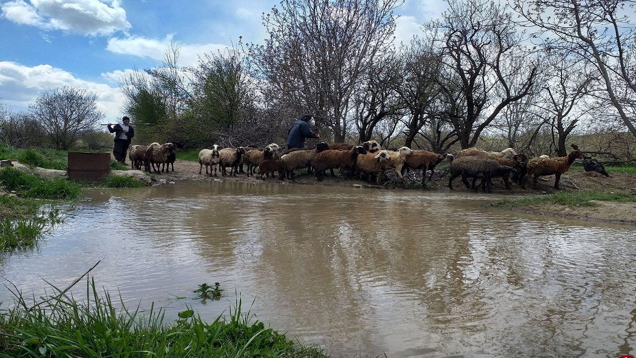 جاذبه‌های گردشگری روستای تکه نهاوند در یک نگاه