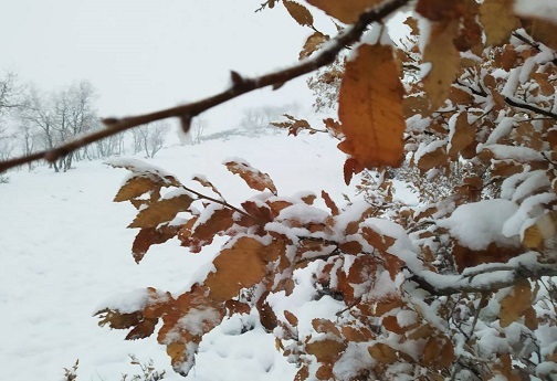 طبیعت زیبای زمستانی لرستان+تصاویر