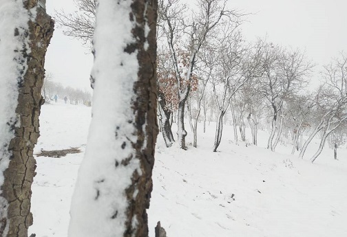 طبیعت زیبای زمستانی لرستان+تصاویر