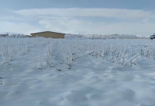 طبیعت زیبای زمستانی لرستان+تصاویر