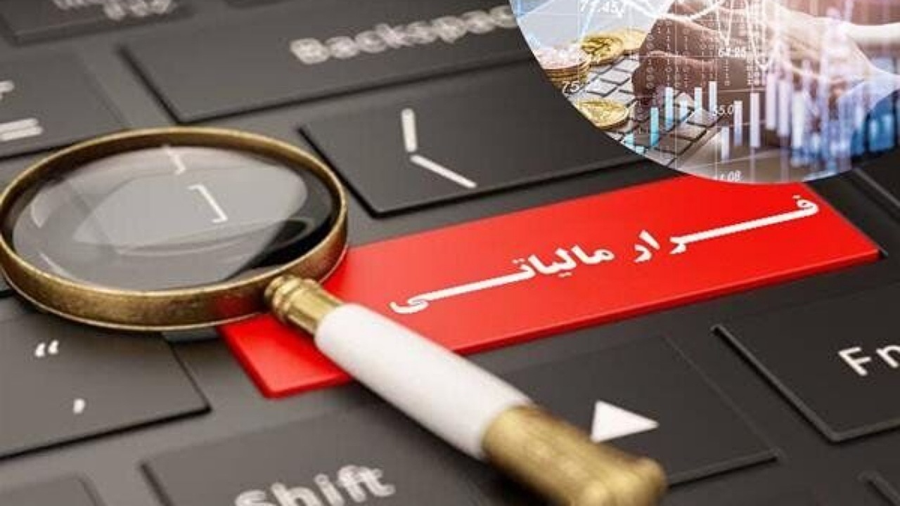 مصادیق مبارزه با فرار مالیاتی دانه درشت‌ها + فیلم