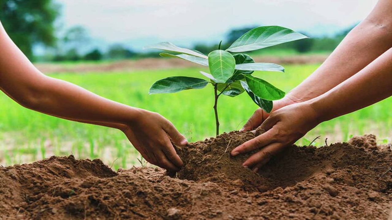 همکاری کانون پرورش فکری کودکان و نوجوانان فارس با منابع طبیعی