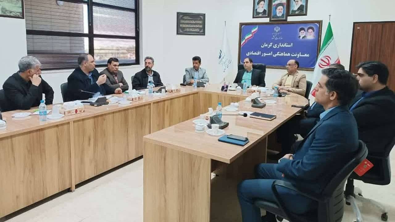 بررسی وضعیت تامین مرغ استان کرمان