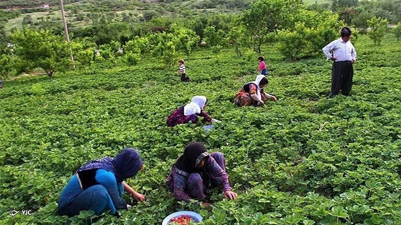 احتمال واریز «عیدی» مستمری‌بگیران صندوق روستاییان ظرف هفته آتی