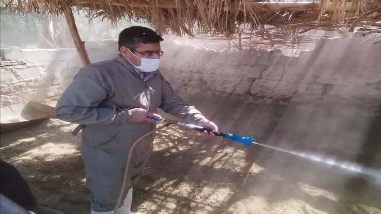 برگزاری اردوی جهادی دامپزشکی کرمان در روستای جهر