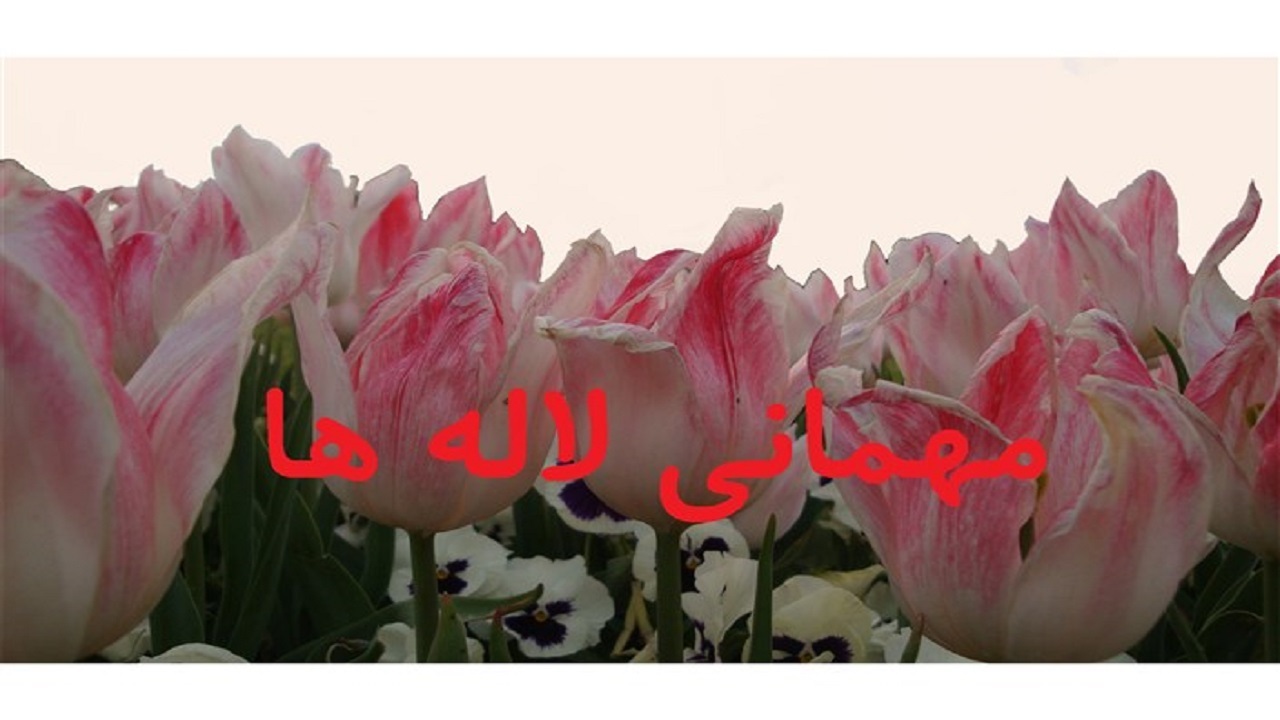 برگزاری آیین مهمانی لاله‌ها در ۲۹۲ گلزار شهدای چهارمحال و بختیاری